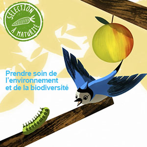 Prendre soin de l’environnement et de la biodiversité