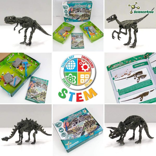 Science4you - Kit de Fouille de Fossiles 4 en 1 pour enfants 5 6 7 8 9 10 Ans - Excaver et assembler 4 dinosaures, 46 pièces: T-Rex, Triceratops, Velociraptor et Stegosaurus - Jouet Idéal pour Filles et Garçons – Image 7