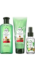 Herbal Essences Pure Shampoing Aloe Mangue Après Shampoing Huile Capillaire Coco naturel hydrate 