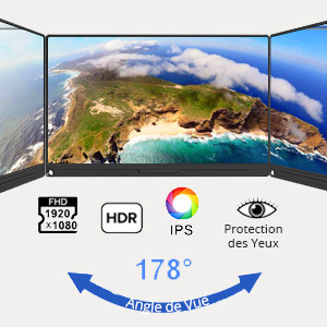 moniteur portable