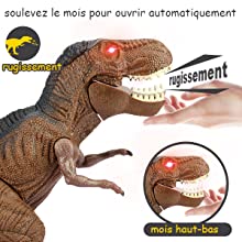 dinosaures 