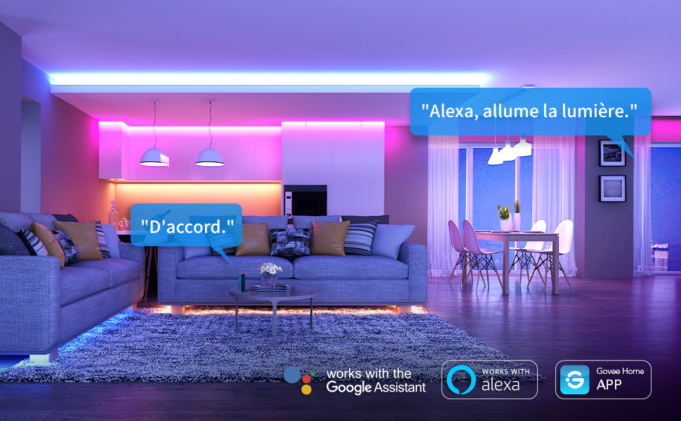 Bande LED Alexa Google Play avec AP Govee