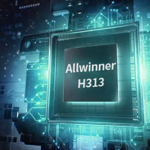 Allwinner H313