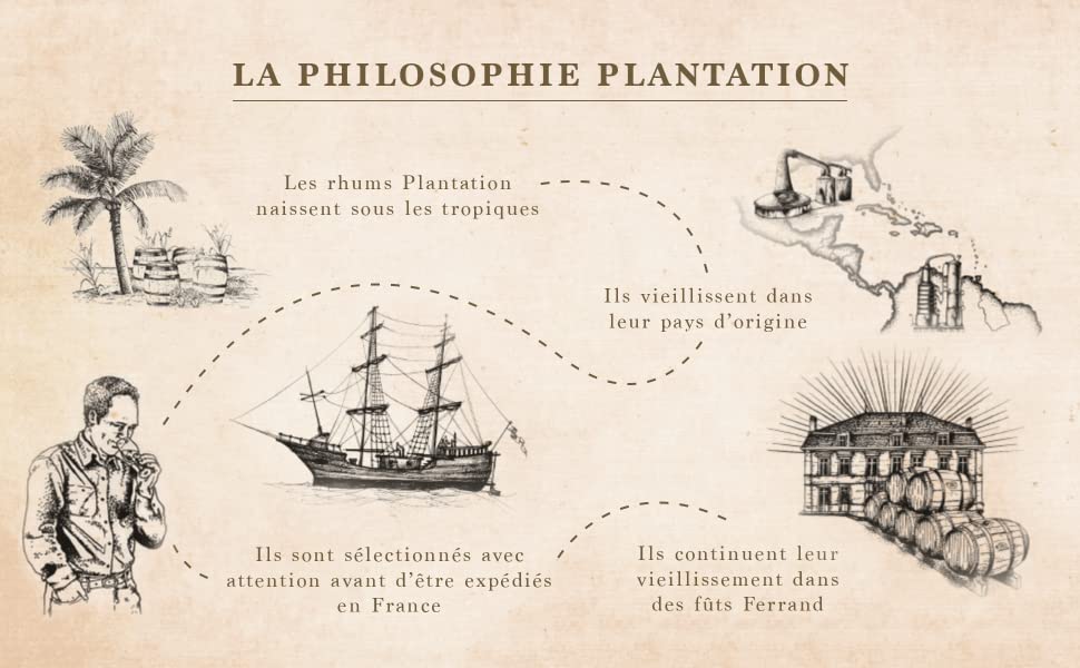 PLANTATION