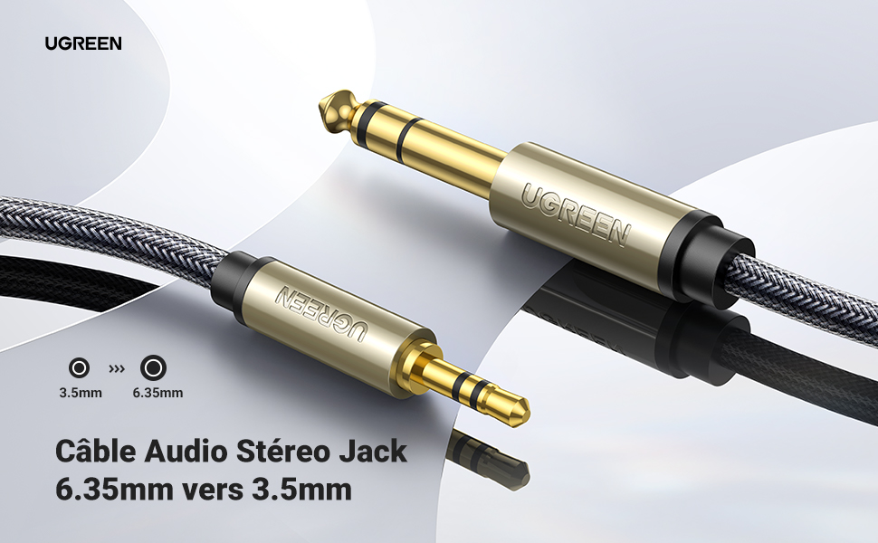 cable audio stéreo jack