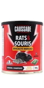 RATS SOURIS