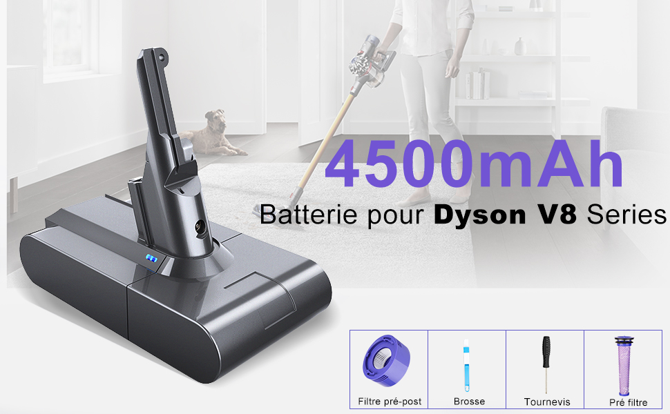 Dyson V8 batterie