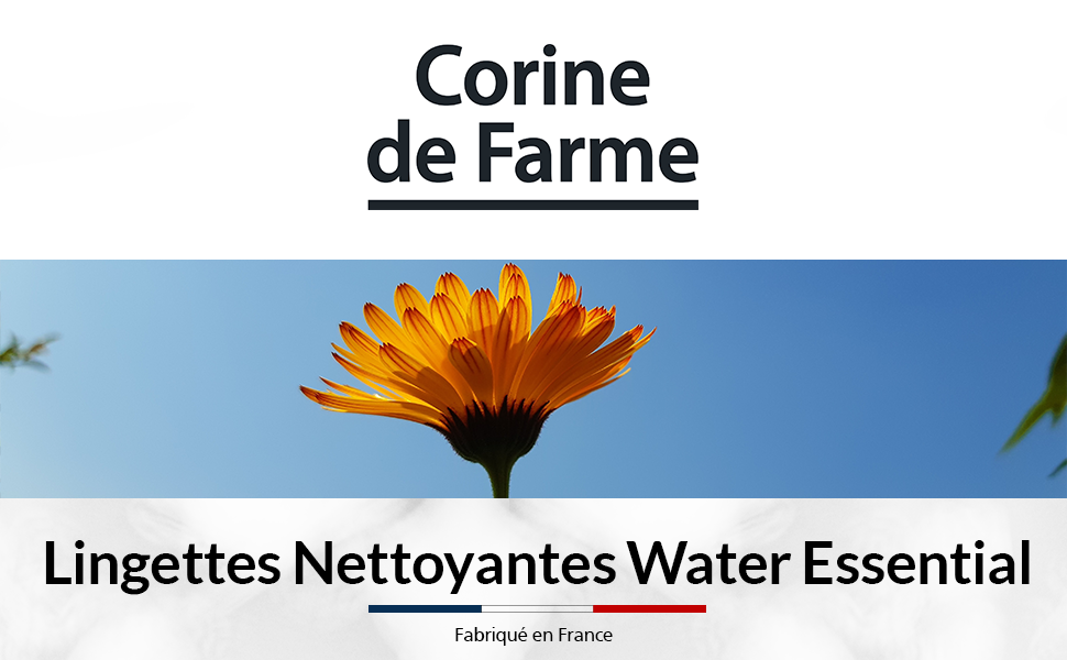 corine de farme