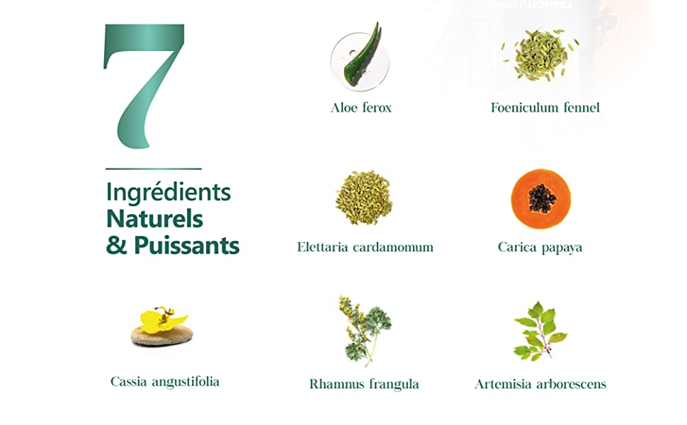 digestic 7 ingredients naturels et puissant