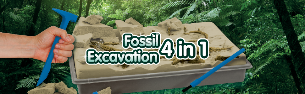 fossil excavation banner