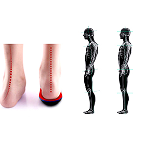 orthotic