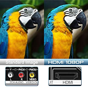 HDMI and AV Output