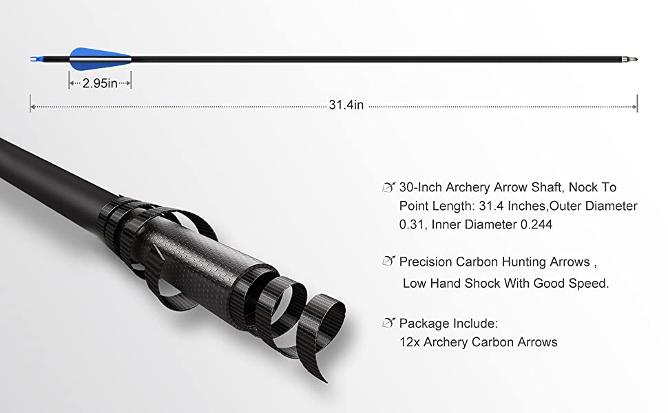 REAWOW 12 pièces flèches de Carbone Mixtes tir à l'arc