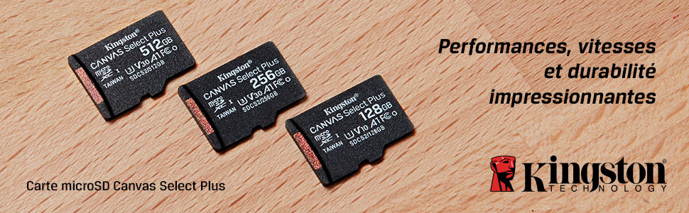 microSD Canvas Select Plus 