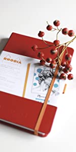 Rhodia