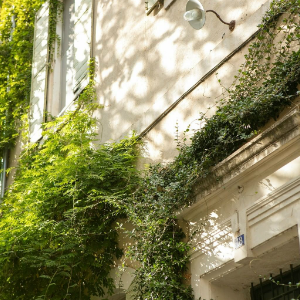 Douche crème lait d'amande douce