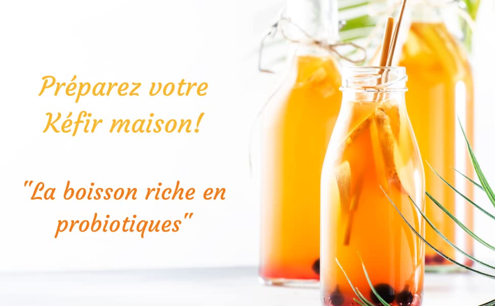 La boisson riche en probiotiques naturels