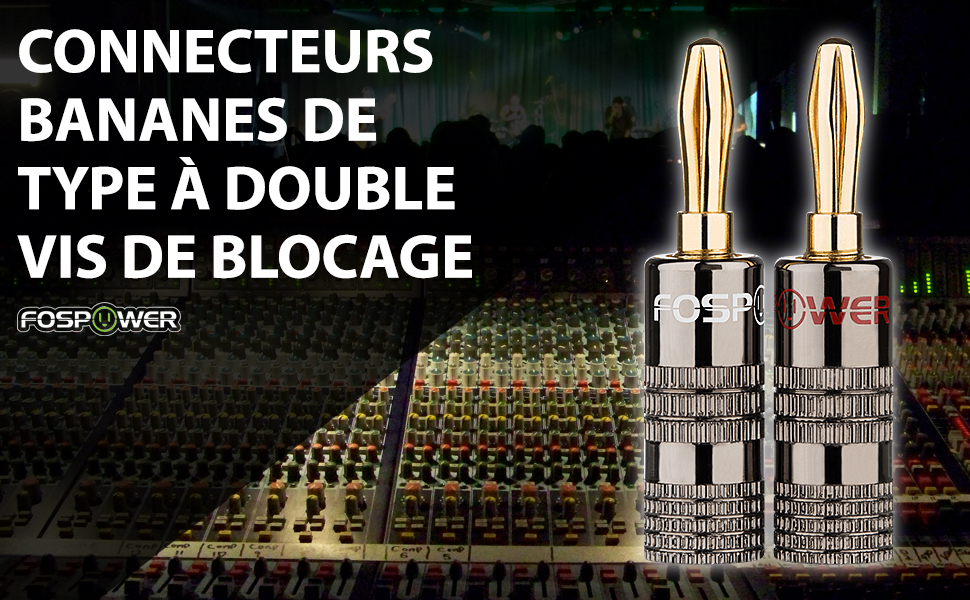 Fiches Bananes pour HiFi Haut-Parleur, Câble Enceinte, Amplificateur, Home Cinema, Speaker Cable