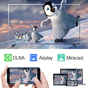 DLNA Airplay Miracast