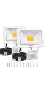 30W Projecteur LED Extérieur Détecteur de Mouvement 2 PACK