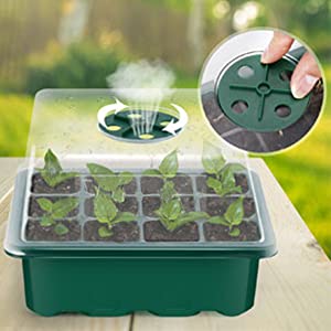 seed trays