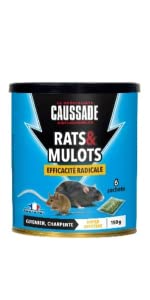 RATS MULOTS