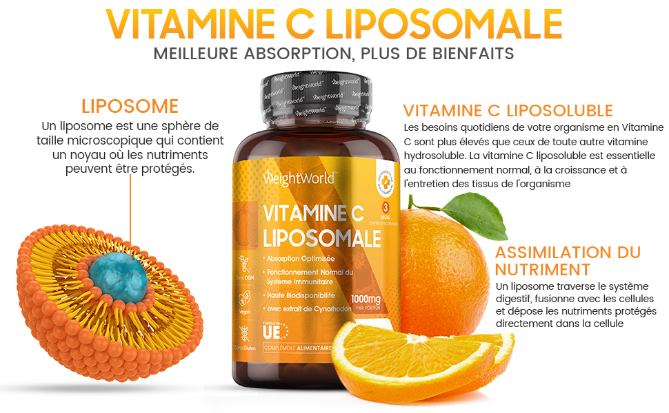 Vitamine C Liposomale 