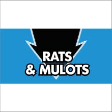 RATS & MULOTS