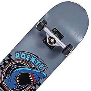 Skateboard Komplettboard