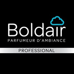 logo boldair