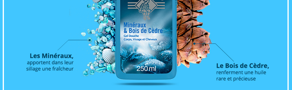 Le Petit Marseillais Gel Douche Homme Corps et Cheveux Minéraux & Bois de Cèdre Flacon