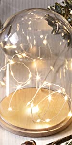 cloche lumineuse en verre