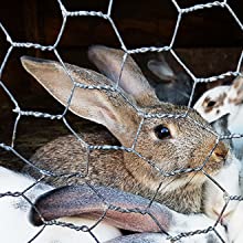 grillage poule lapin cochon d'inde clapier poulailler protège protection animal animaux 