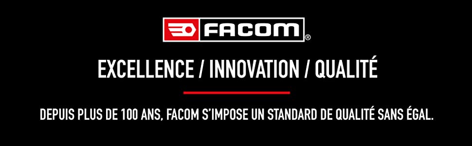 facom; facom automobile;nettoyant moteur facom;decalaminant integral moteur;performance moteur