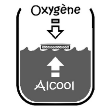 Mère de vinaigre entre oxygène et alcool