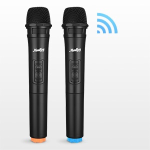 Deux microphones sans fil