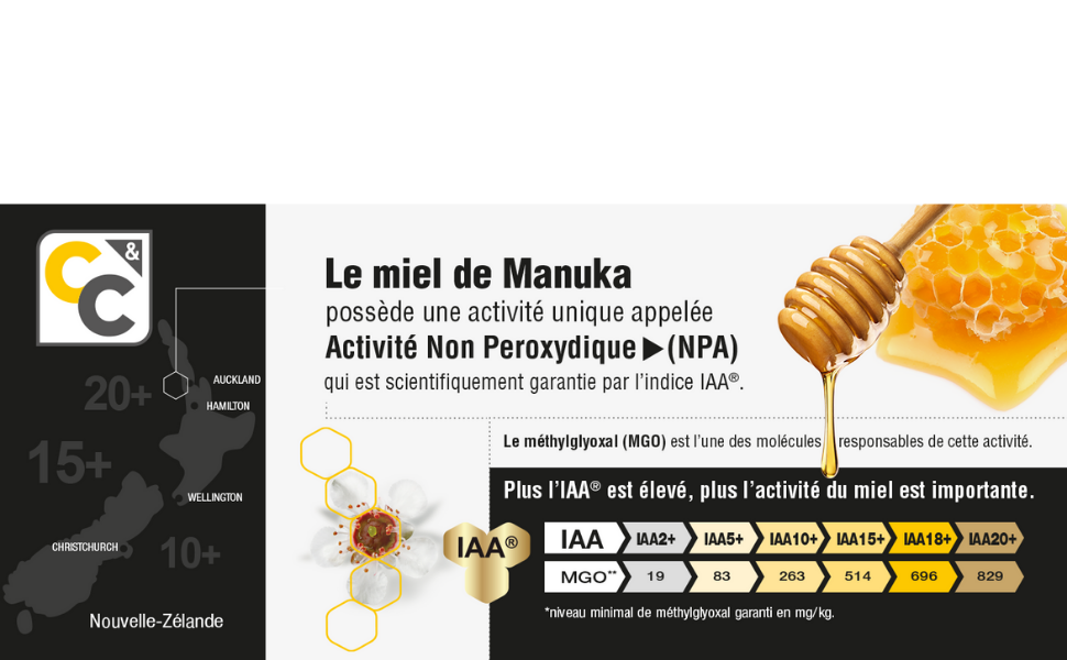 Bannière explication IAA