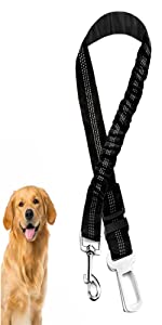 ceinture de securite pour chien