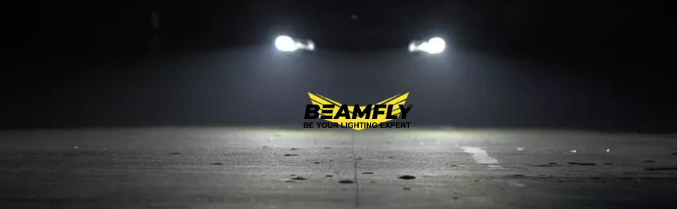 beamfly