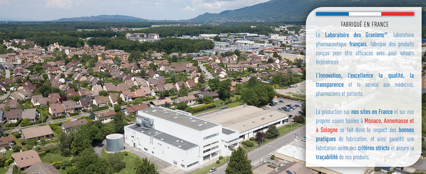 Vue Aérienne Usine Annemasse - Fabriqué en France