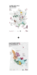 Pack carte des vins de France et carte des vins de Bordeaux