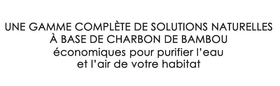 Solution bambou