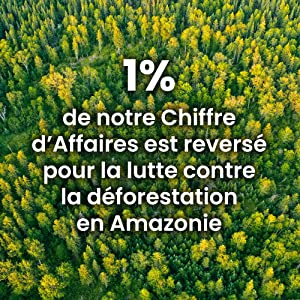 lutte déforestationion ie