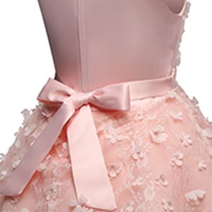 princess girl dress