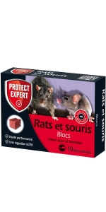 rats souris