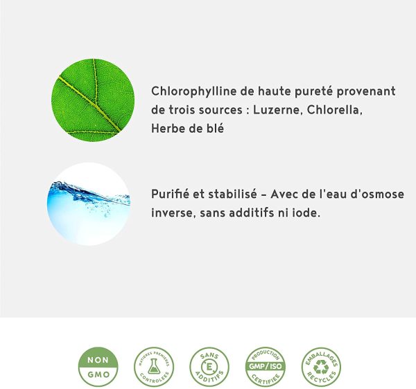 Chlorophylle liquide à boire, sur base d'herbes de blé, luzerne et chlorella, sans goût, sans iode, sans additifs - jusqu'à 4 fois plus de concentration de chlorophylline - 50 ml – Image 2