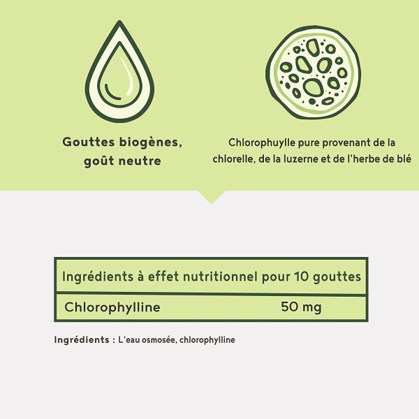 Chlorophylle liquide à boire, sur base d'herbes de blé, luzerne et chlorella, sans goût, sans iode, sans additifs - jusqu'à 4 fois plus de concentration de chlorophylline - 50 ml – Image 6